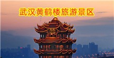 黑人用巨大阴茎狂躁美女