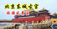 女人和女人和男人大鸡巴操逼毛片网站中国北京-东城古宫旅游风景区