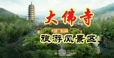 高清肏女人逼中国浙江-新昌大佛寺旅游风景区